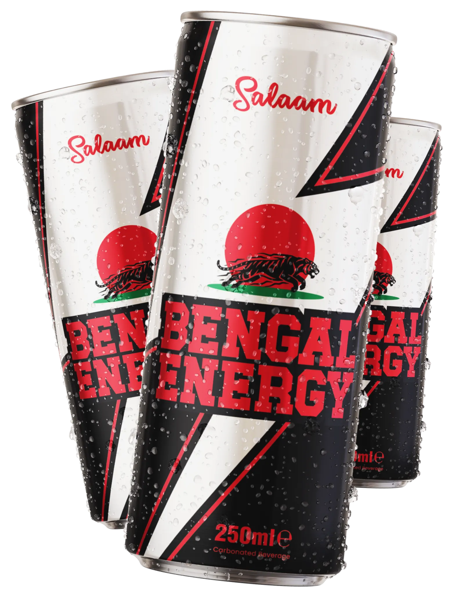 Prezantimi i Salaam Bengal Energy